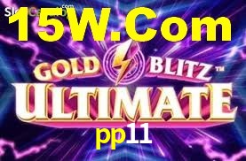 VIP Casino pp11