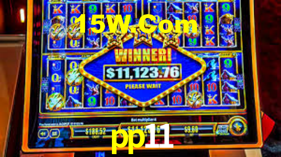 pp11,pp11.com