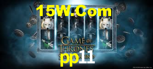 pp11.com