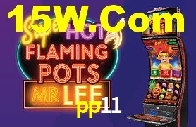 pp11,pp11.com