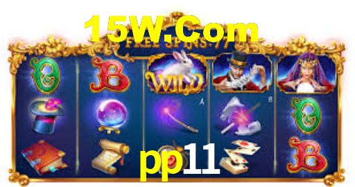 pp11,pp11.com