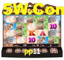 Sinta a adrenalina dos jogos de cassino com pp11