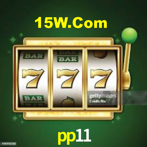 pp11.com