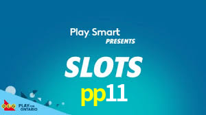 Premium Interface pp11